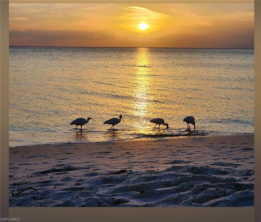 15059 Blue Marlin Ter, Bonita Springs, photo 49