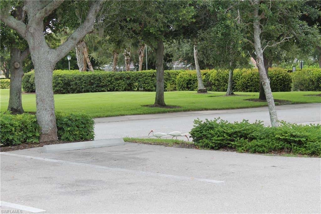2736 Lambay Ct, Cape Coral, photo 48