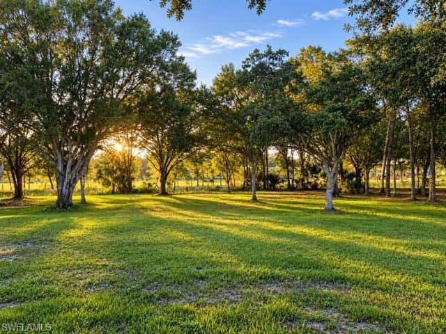 1777 Pollywog Crossover Rd, Labelle, photo 6