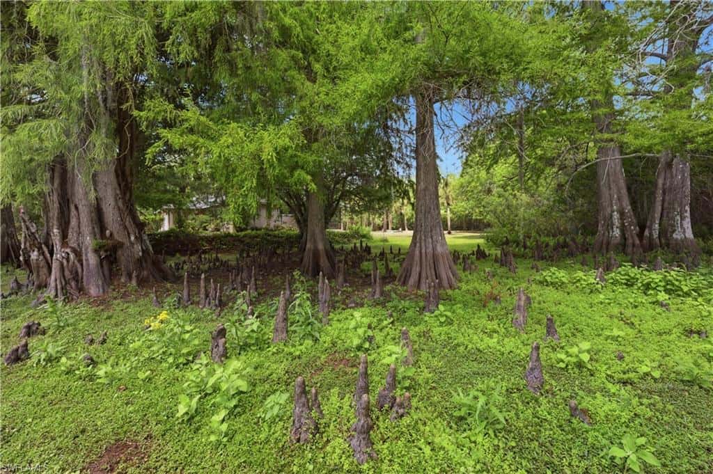 5681 Bur Oaks Ln, Naples, photo 7
