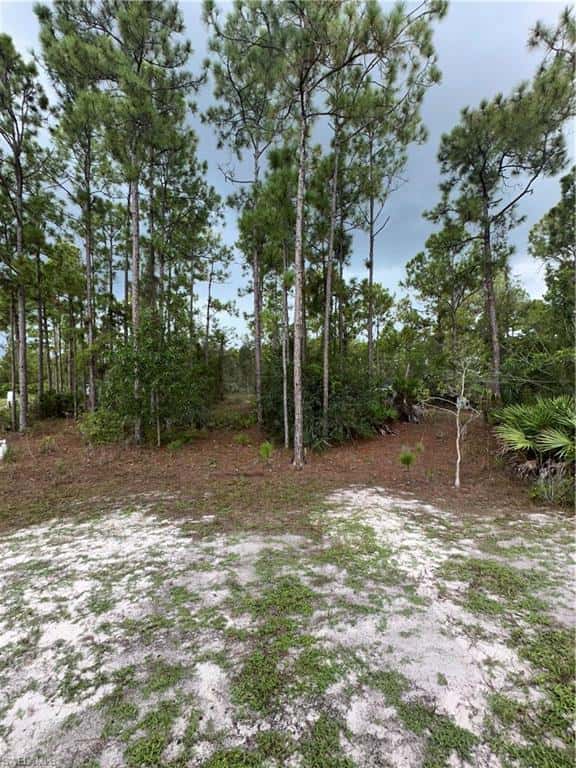 3740 45th Ave, Naples, photo 16