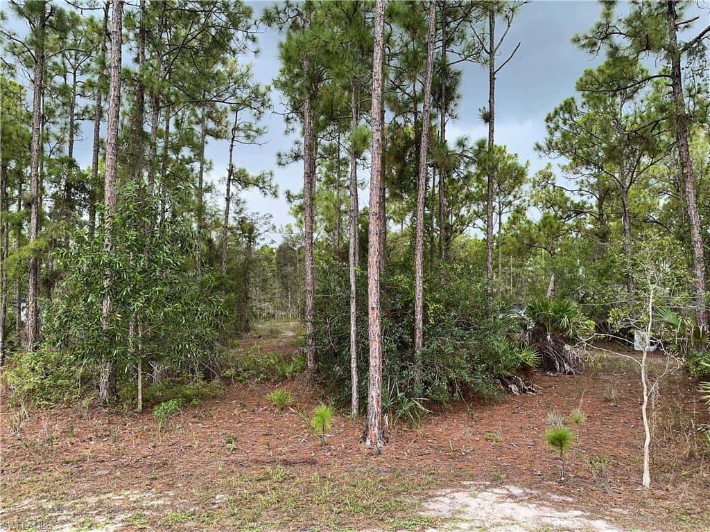 3740 45th Ave, Naples, photo 15