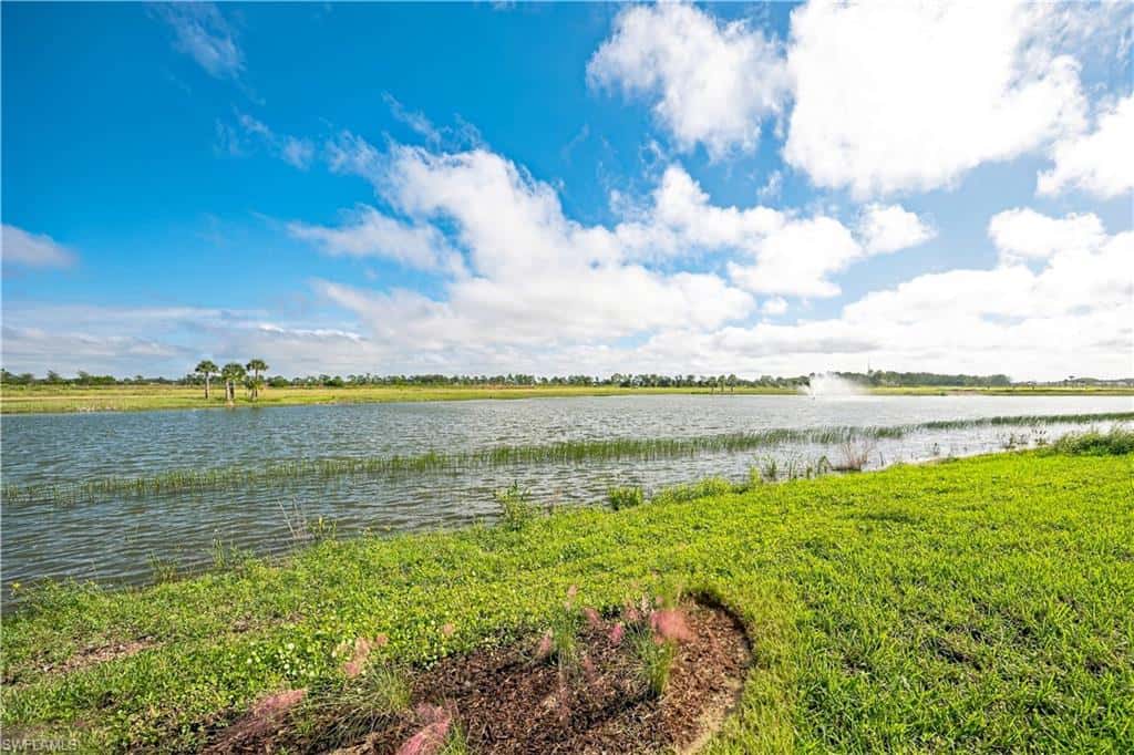 44602 Little Blue Heron Way, Punta Gorda, photo 13