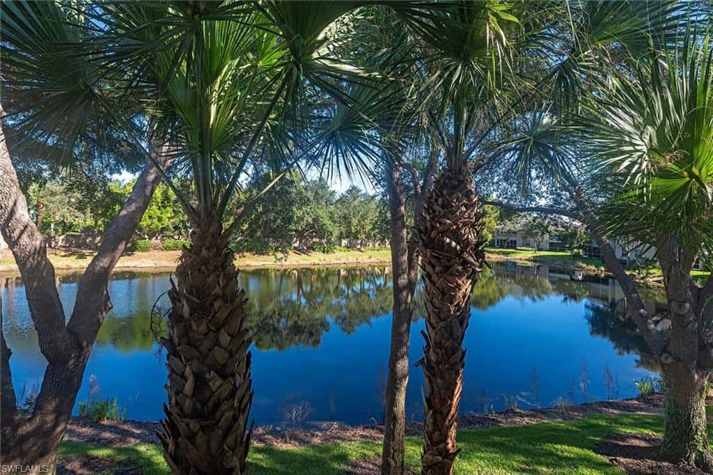 7115 Wild Forest Ct #201, Naples, photo 13