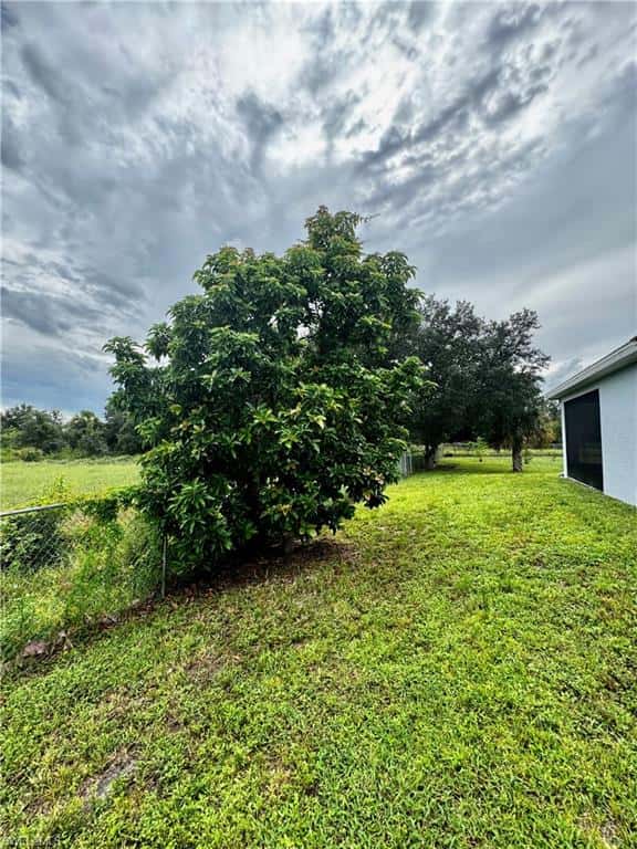 1709 Moore Ave, Lehigh Acres, photo 52