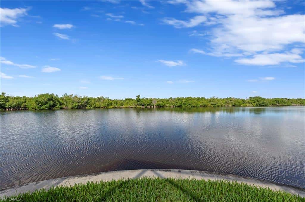 2939 28th Ln, Cape Coral, photo 48