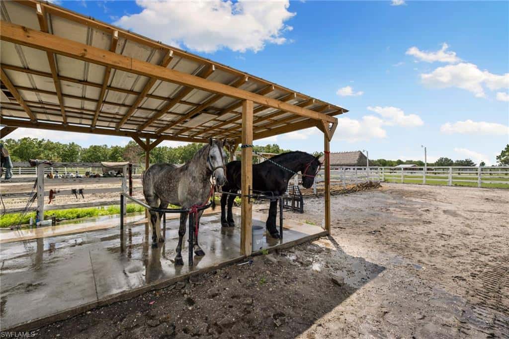 49033 Bermont Rd, Punta Gorda, photo 41