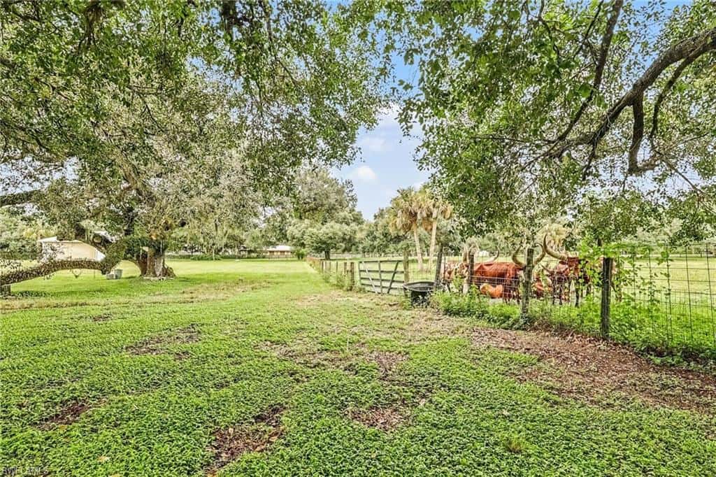 23150 River Rd, Alva, photo 22