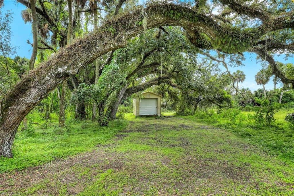 21211 Palm Beach Blvd, Alva, photo 7
