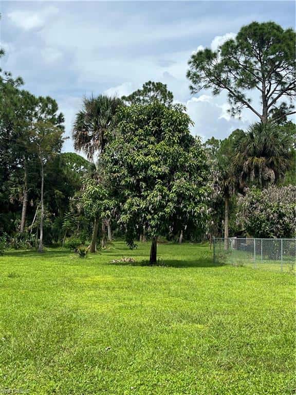 2923 14th Ave, Naples, photo 17