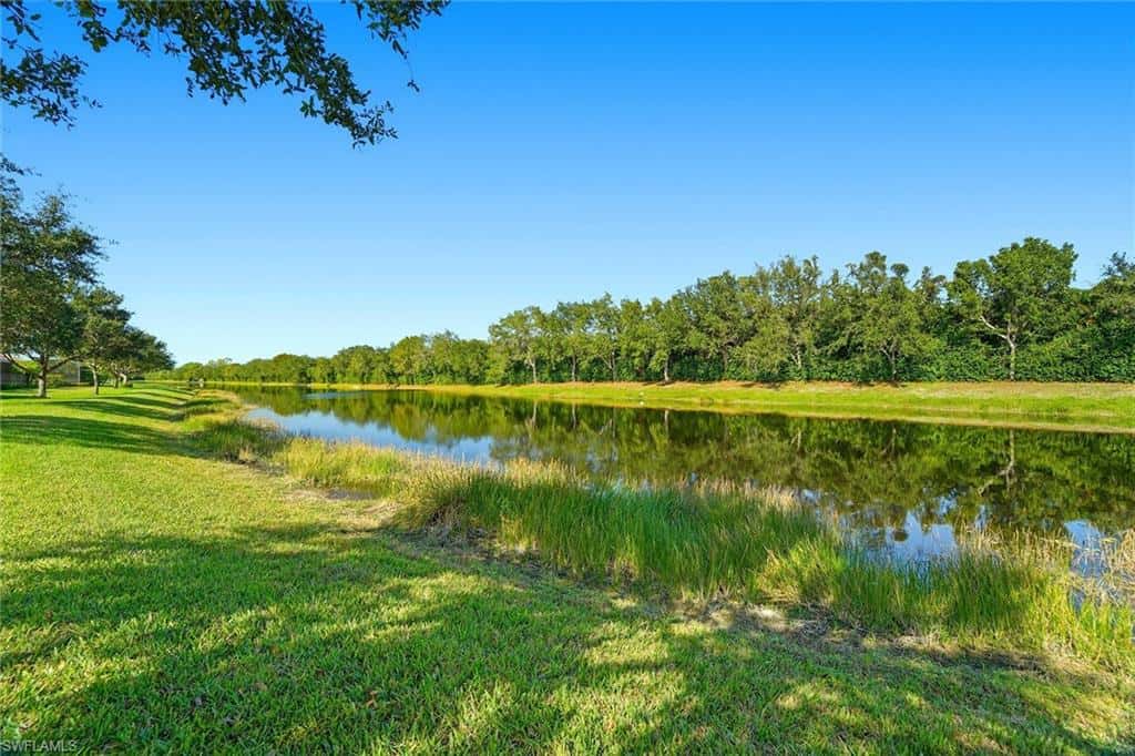 2906 Aviamar Cir, Naples, photo 35