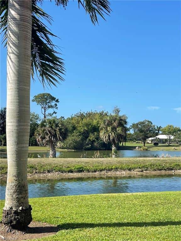 5499 Rattlesnake Hammock Rd #a-207, Naples, photo 32