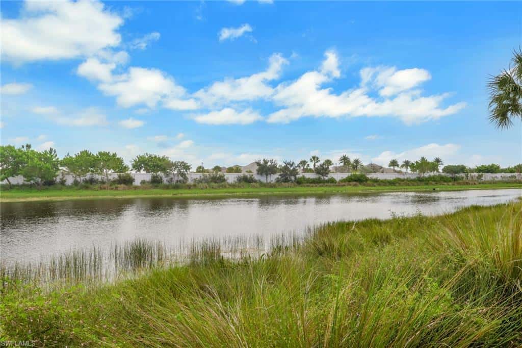 8790 Calypso Ct, Naples, photo 25