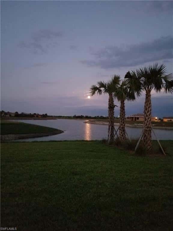 4456 Magellan St, Ave Maria, photo 8