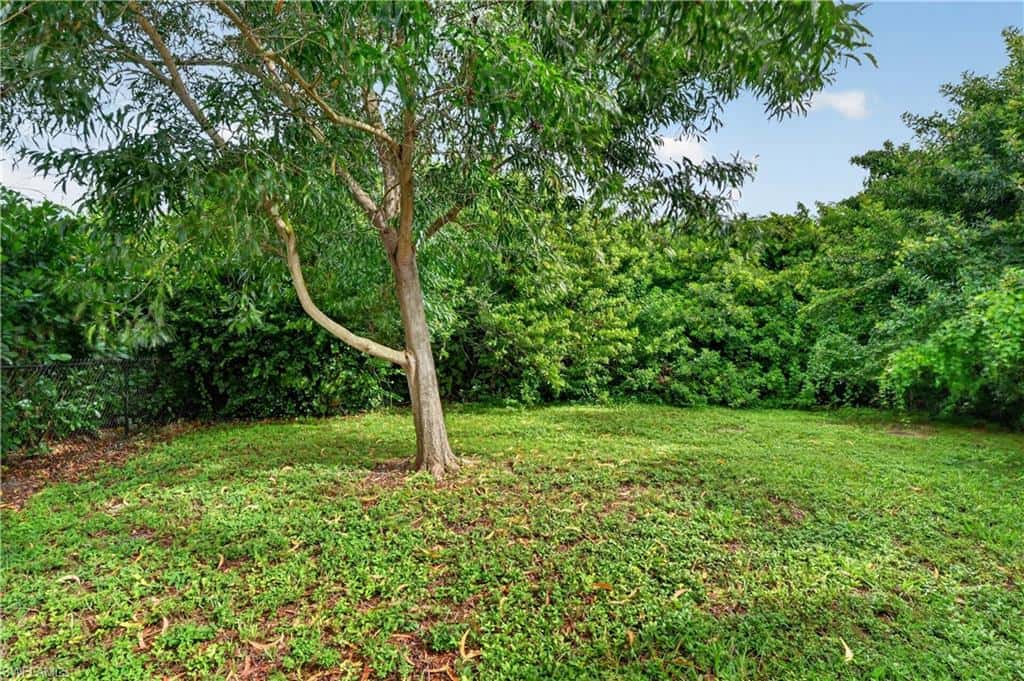3177 Woodside Ave, Naples, photo 35