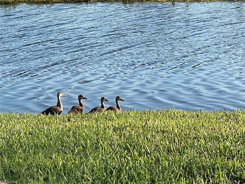 4142 Bay Beach Ln #4, Fort Myers Beach, photo 37