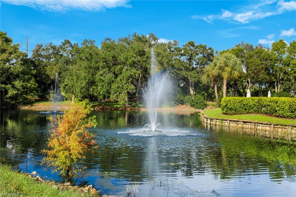 6825 Satinleaf Rd #101, Naples, photo 28