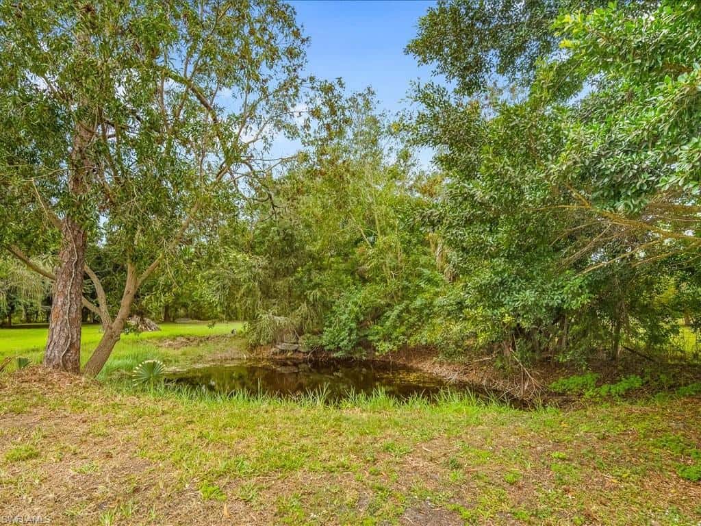 5272 Myrtle Ln, Naples, photo 24