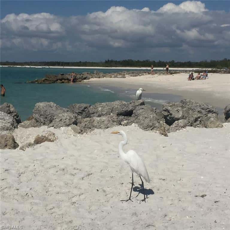 26370 Hickory Blvd #202, Bonita Springs, photo 33