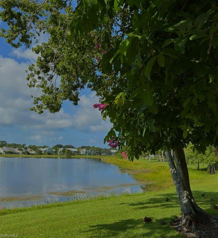 1708 Kings Lake Blvd #204, Naples, photo 32