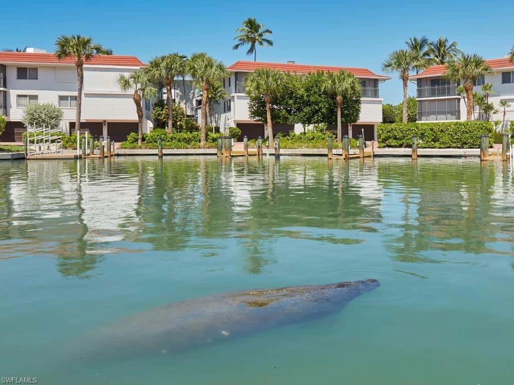 2230 Gulf Shore Blvd #t4, Naples, photo 26