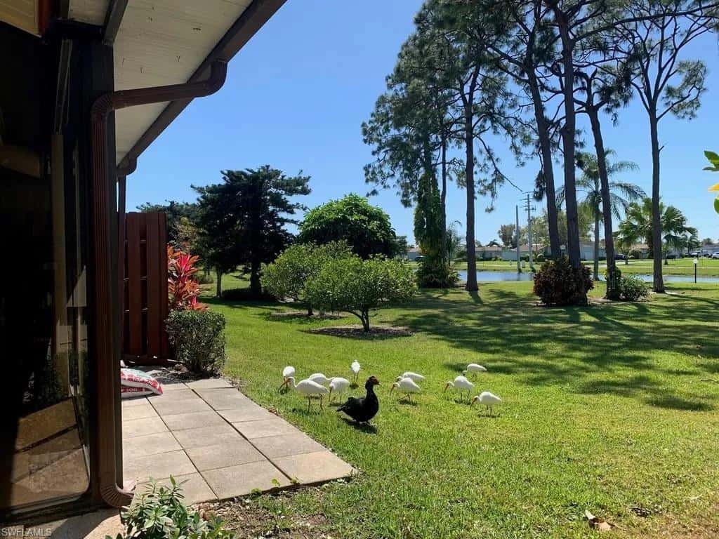 2037 Pine Isle Ln #2037, Naples, photo 7