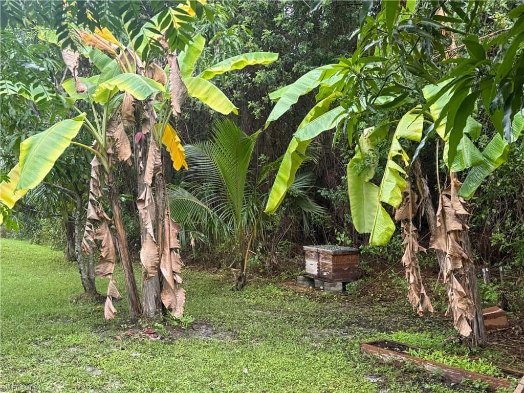 4775 Everglades Blvd, Naples, photo 20