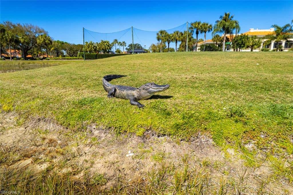 26483 Bonita Fairways Blvd, Bonita Springs, photo 43
