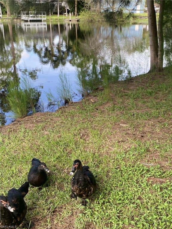 20503 Fern Cir, North Fort Myers, photo 23