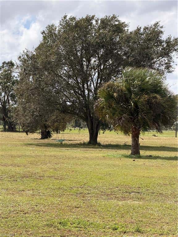 1250 Homestead Ave, Clewiston, photo 31