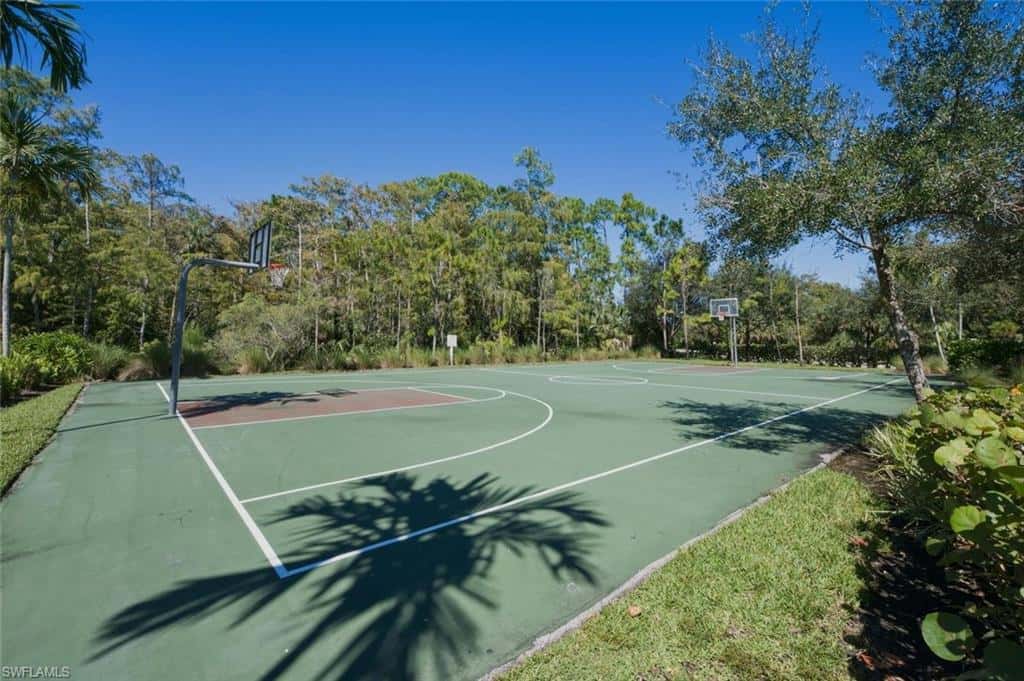 4403 Raffia Palm Cir, Naples, photo 47