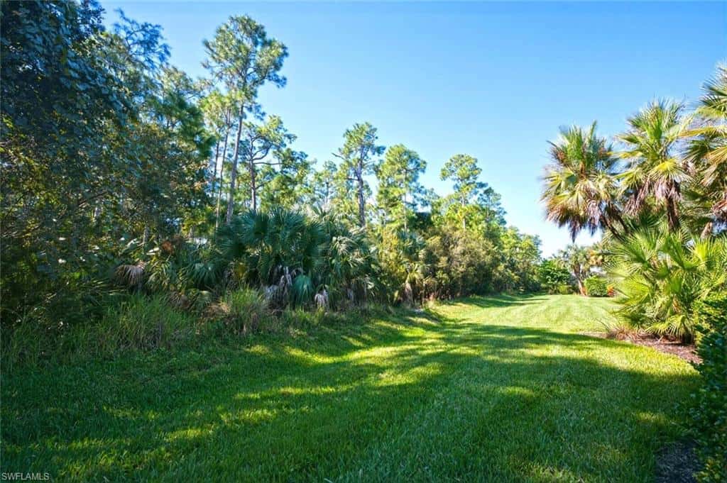 4403 Raffia Palm Cir, Naples, photo 43