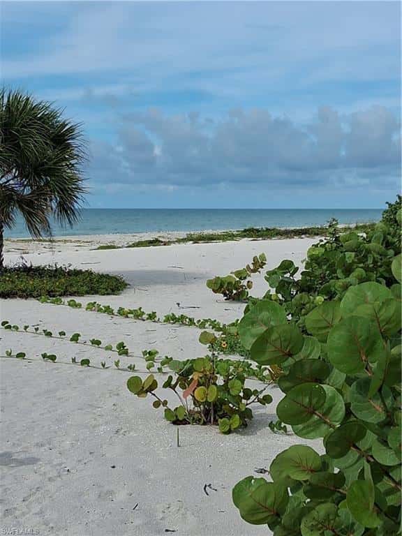 232 Robinwood Cir, Sanibel, photo 45