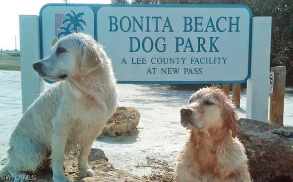 300 Dunes Blvd #ph-5, Naples, photo 25