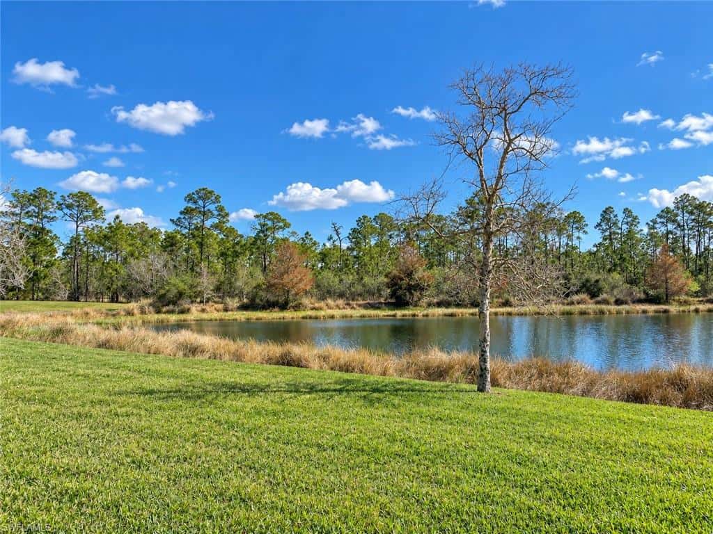 21718 Bella Terra Blvd, Estero, photo 40