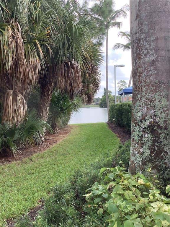 7808 Meridan Ct, Naples, photo 42