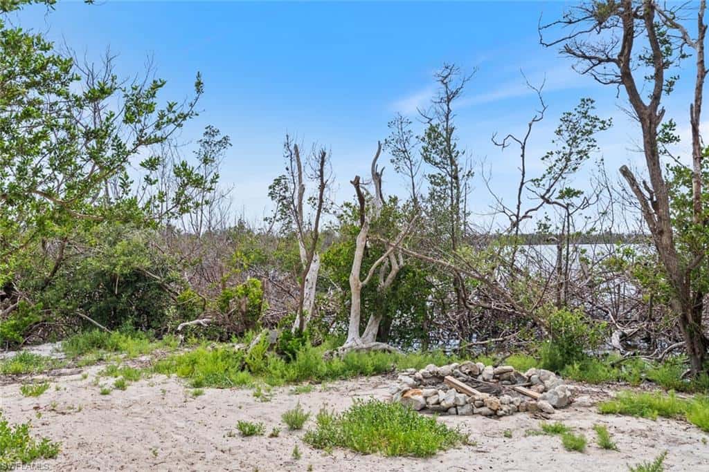 11240 Pejuan Shores, Cayo Costa, photo 51