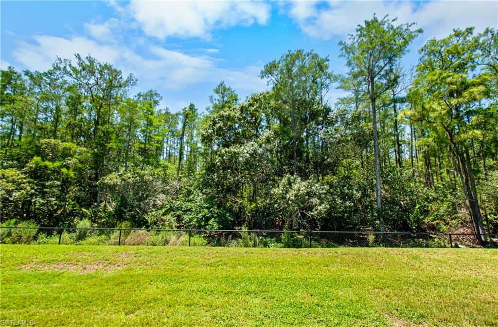 8026 Tiger Palm Way, Fort Myers, photo 43
