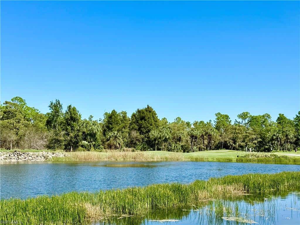 8605 Naples Heritage Dr #212, Naples, photo 25