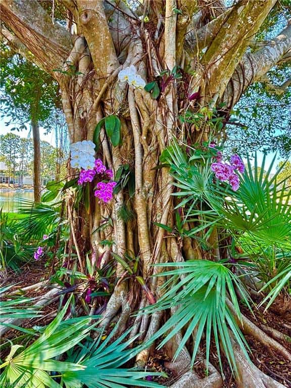 1220 Sarah Jean Cir #103, Naples, photo 28