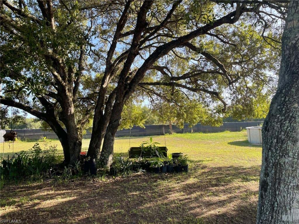 145 Datil St, Clewiston, photo 12