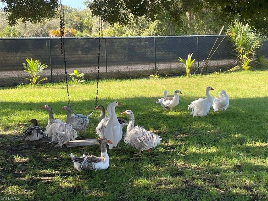 145 Datil St, Clewiston, photo 10