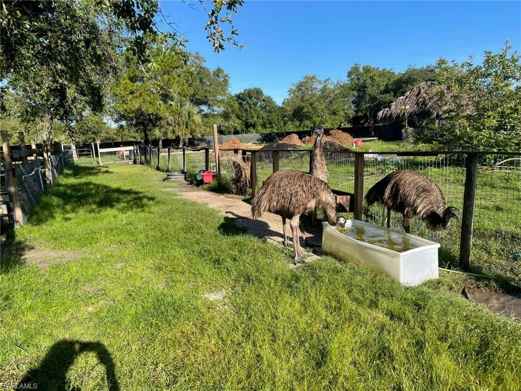 145 Datil St, Clewiston, photo 11