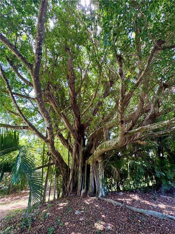 565 Kings Way, Naples, photo 31