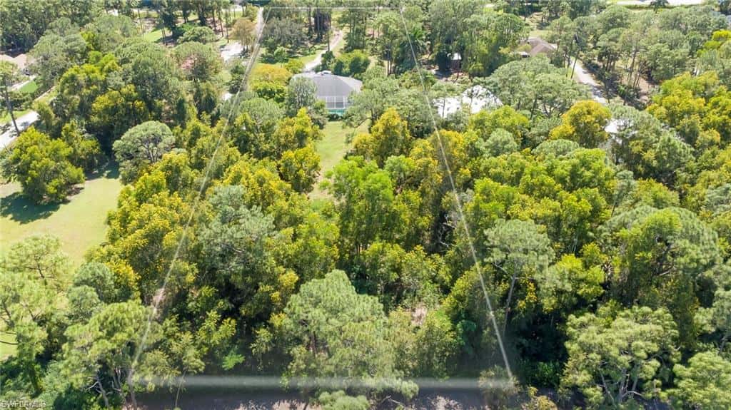 6255 Painted Leaf Ln, Naples, photo 22