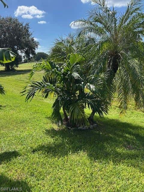 567 Charlemagne Blvd, Naples, photo 41