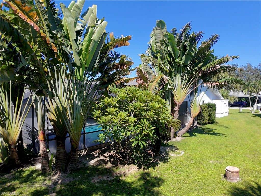 9878 Country Oaks Dr, Fort Myers, photo 50
