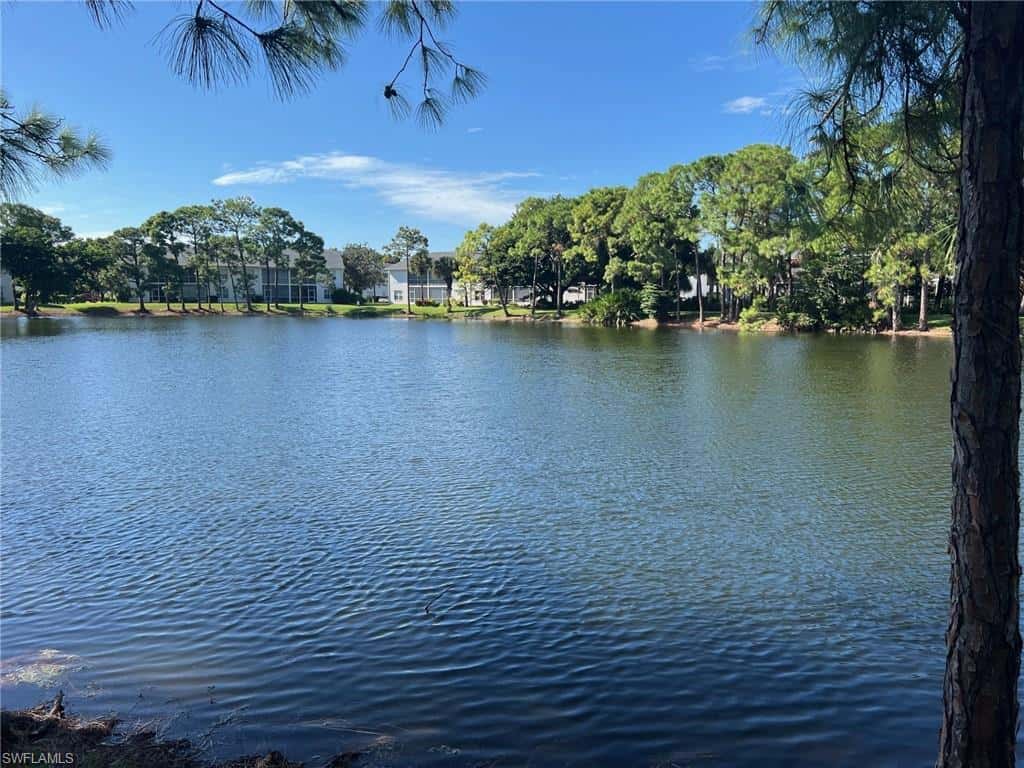 1120 Sarah Jean Cir #204, Naples, photo 36