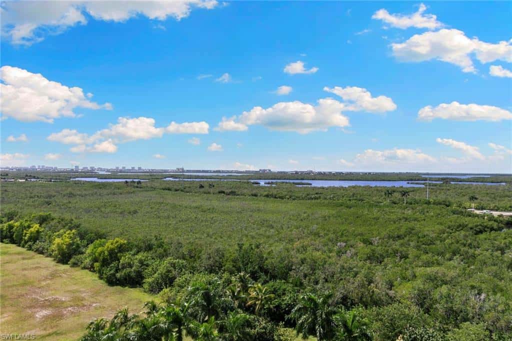 1065 Borghese Ln #1002, Naples, photo 18