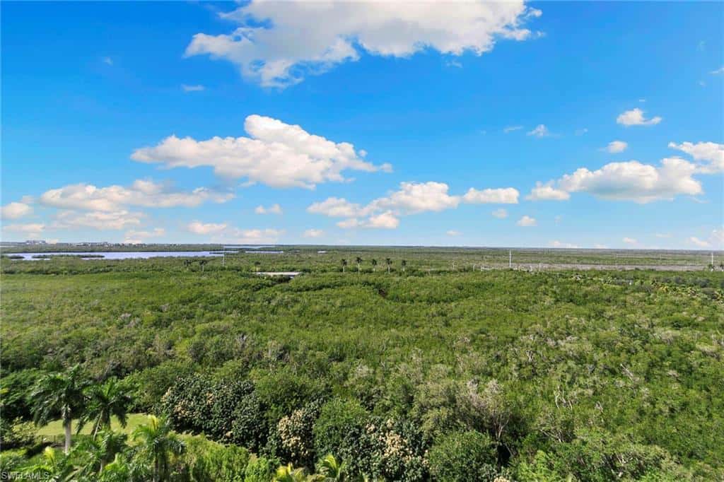 1065 Borghese Ln #1002, Naples, photo 31